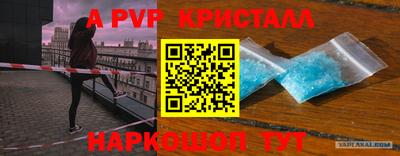 индика Можга