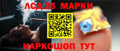 индика Можга