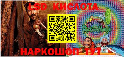 индика Можга