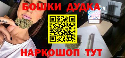 индика Можга