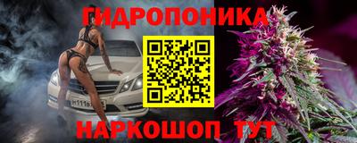 индика Можга