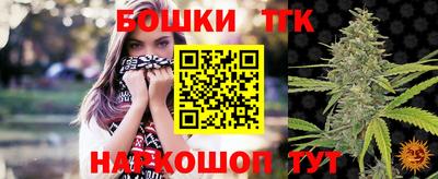 индика Можга