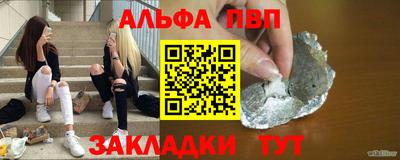 индика Можга