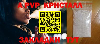 индика Можга