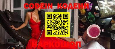 индика Можга