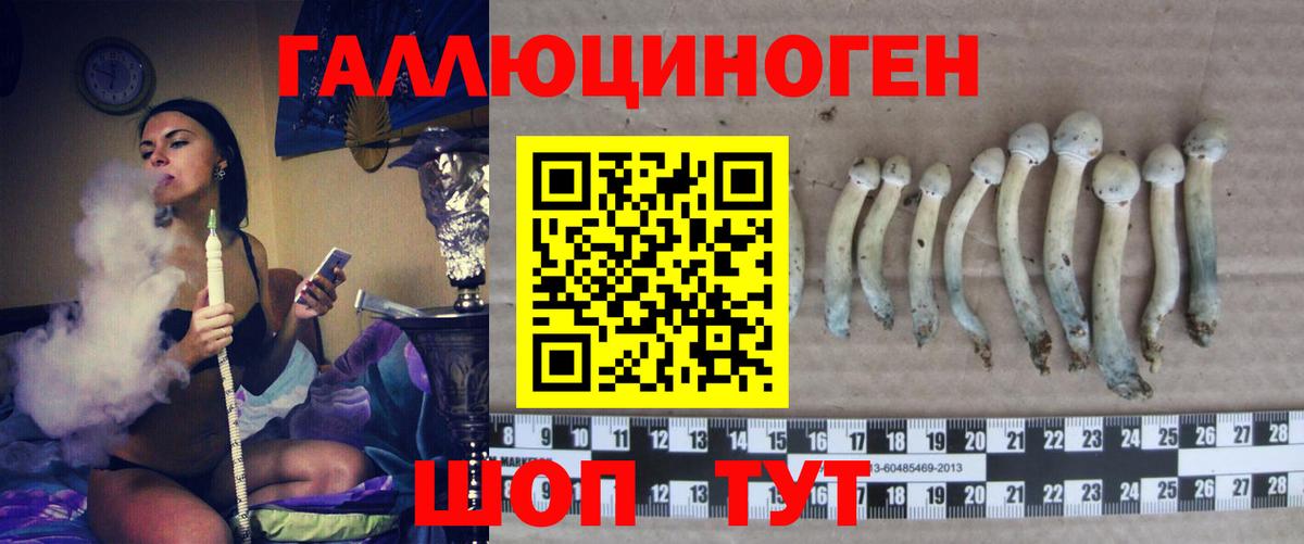 Псилоцибиновые грибы MAGIC MUSHROOMS Рузаевка