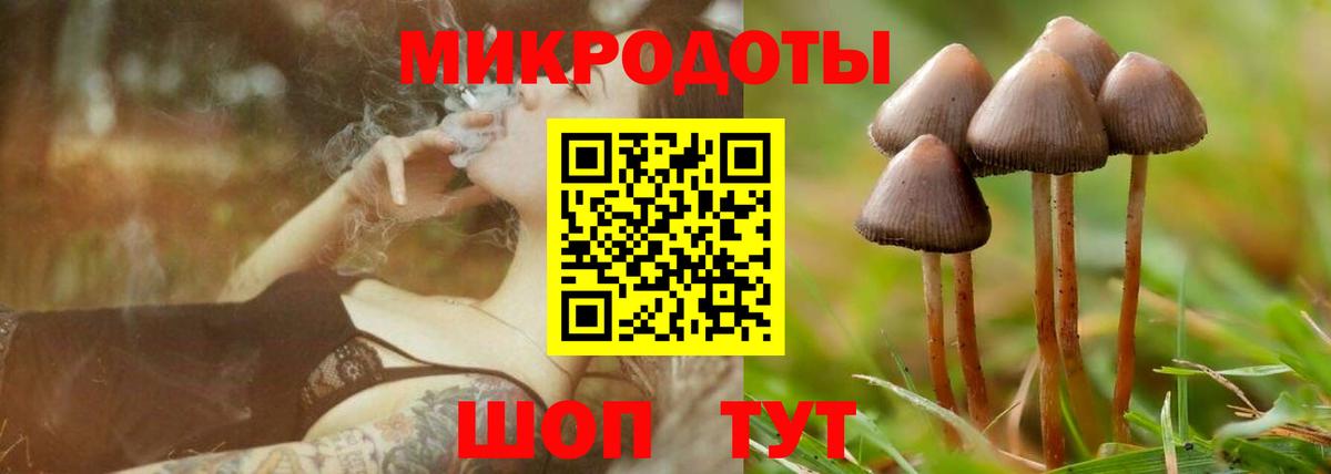Галлюциногенные грибы GOLDEN TEACHER  Вход с VPN  купить наркотик  Рузаевка 